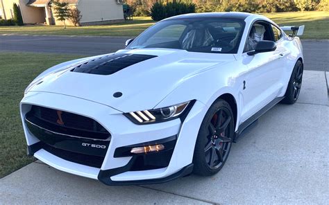 mustang shelby gt500 white